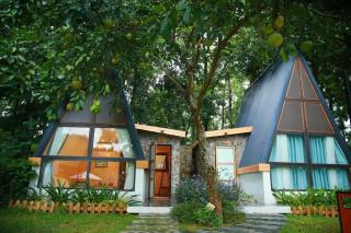 Homestay Interconnection Ba Vì - Hà Nội - Ba Vì - 9