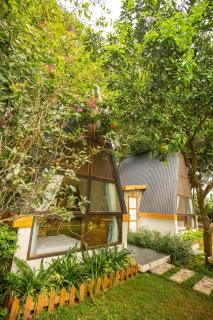 Homestay Interconnection Ba Vì - Hà Nội - Ba Vì - 8