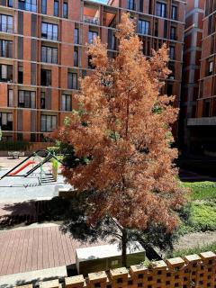 Brasilia 10 - 108 B - 5