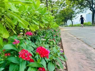 Mơ home Hạ Long - Ha Long - 9