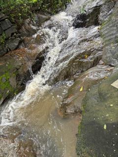 Agasthya Private Pool & Park villa - 4