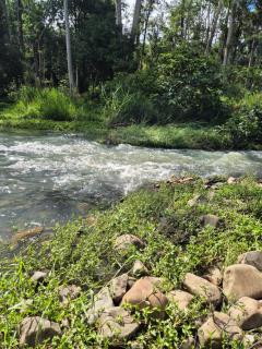 RESET Tallebudgera Valley - Upper Tallebudgera - 2