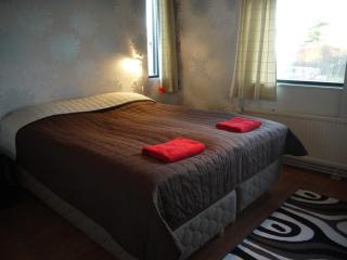 Hotel Hanhi - 7