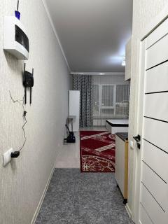 1-комнатная квартира - Almaty - 8