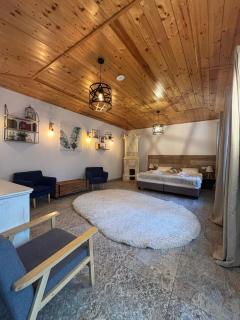 Drachenhaus Urban Villa - Brasov - 7