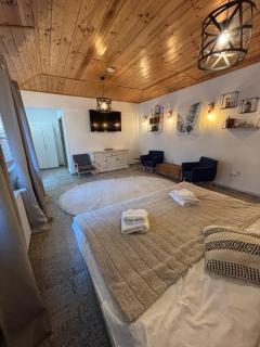 Drachenhaus Urban Villa - Brasov - 4