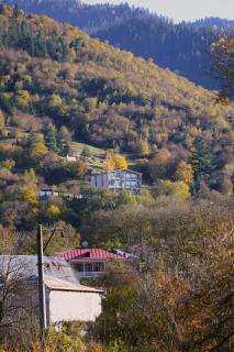 mn hotel chobisxevi - Borjomi - 0