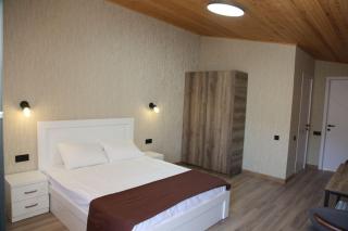 mn hotel chobisxevi - Borjomi - 5