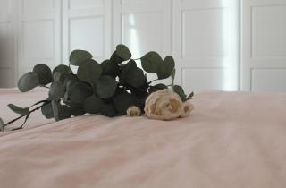 Gio's Hygge Nest - Monte Grimano Terme - 2