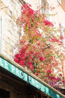 Cozy 3-room apartment in the heart of the village of Fayence - Fayence - 8