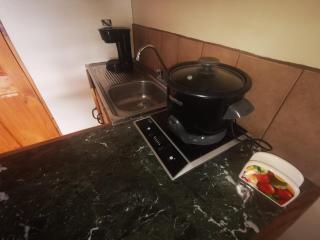 Cabaña Mono Cariblanco - 5