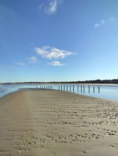 Cozy, delicious and bright - Uggerby - 9