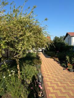 Rose Villa - - 6