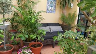 Centro Storico Home - 6