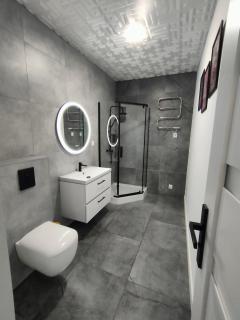 722 Slate Apartament Jedlina-Zdrój - Jedlina-Zdrój - 4
