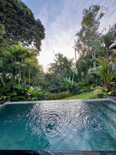 Romansa villa - Ubud - 5