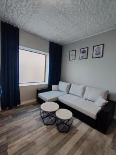 722 Slate Apartament Jedlina-Zdrój - Jedlina-Zdrój - 7