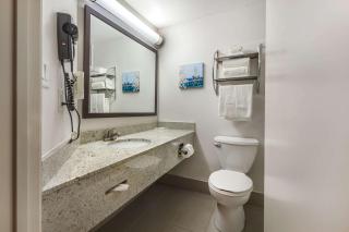 Quality Hotel - Burlington - 4