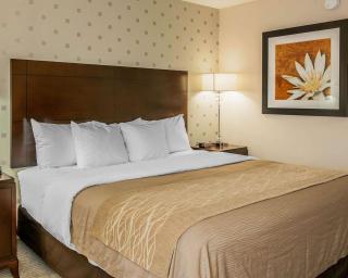 Comfort Inn Bloomington near University - Bloomington - 1