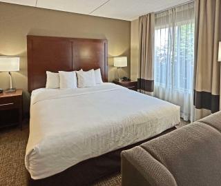 Comfort Suites Concord Mills - Concord - 3