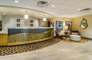 Comfort Inn Raleigh Midtown - Raleigh - 6