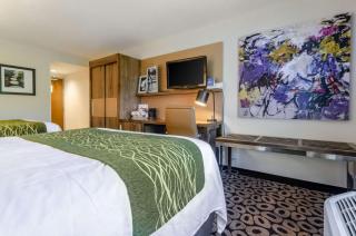 Comfort Inn Raleigh Midtown - Raleigh - 3
