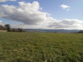 vivienda las caracolas - 3