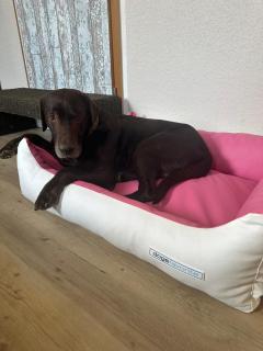 Ferienhaus Löwenherz - 2