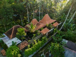 JAYA VILLA - Ubud - 9