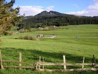 Ferienhaus Gamssteige im Feriendorf Reichenbach G18 - Nesselwang - 8