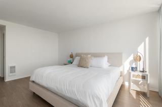 The violet-Santa Monica highrise beach front&view - 8