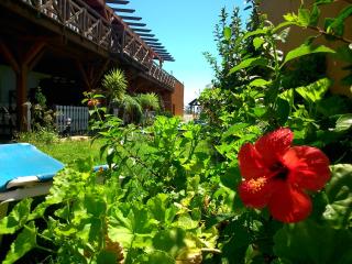 Hostal Playa Mazagon (El Remo) - 6