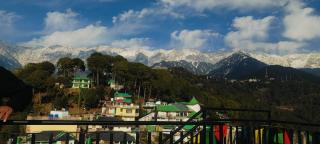 The Unmad Satovari - Dharamshala - 5