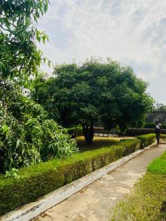 Private Palace - 6