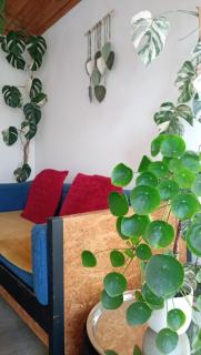 Kanela Guest House B-side - 3