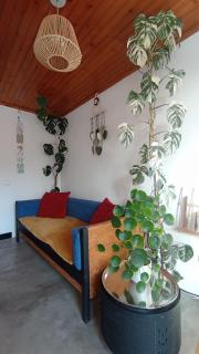 Kanela Guest House B-side - Machico - 1