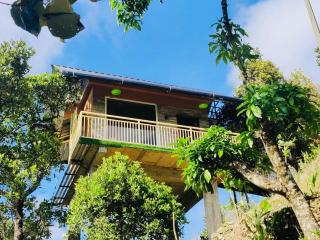 Devalokam Hut - Vagamon - 0