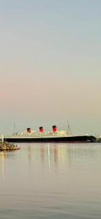 Charming Downtown Getaway in Long Beach - Long Beach - 4