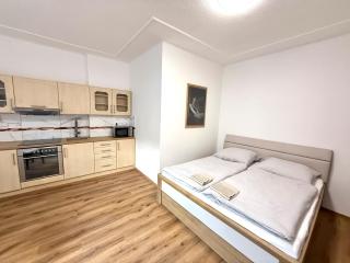 Apartmány Princ Děčín - 8