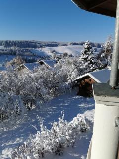Forest Haven - Unterkirnach - 6