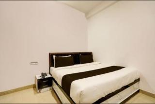 Hotel Rainbow Residency , Near Assi Ghat, Best Facility With Decorative Room - Varanasi - 7