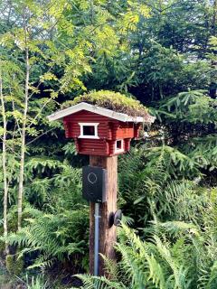 Unique Historical Nature Escape - - 8