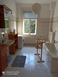Familienfreundliche Ferienwohnung - Benneckenstein - 8