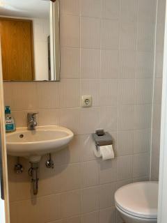 Fips - Mittenwald - 1