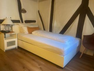 Hotel Restaurant Altes Badhaus - Eberbach - 9