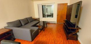 Modern & Cozy 2 Bedroom 2 Bathroom Sofabed Suite - Albany - 0