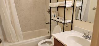 Modern & Cozy 2 Bedroom 2 Bathroom Sofabed Suite - Albany - 8