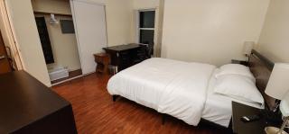Modern & Cozy 2 Bedroom 2 Bathroom Sofabed Suite - Albany - 7