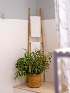 Casa do Avo Zezinho - Telheiro - 4