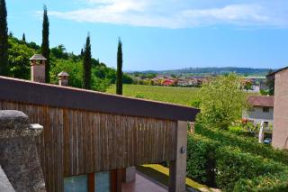 I Cipressi by Halldis - Colognola ai Colli - 4